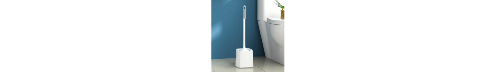 Brosses à récurer WC