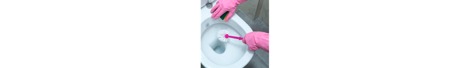 Entretien WC & Sanitaires