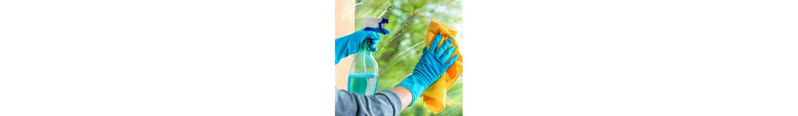 Nettoyage & Désinfection